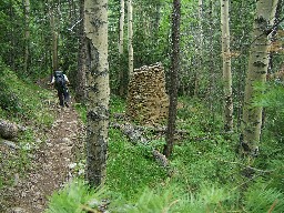 cabin Ruins